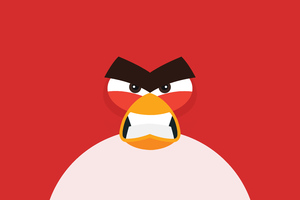 Angry Bird Minimal 8k Wallpaper