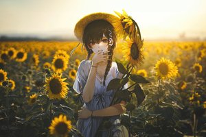 Anime Girl Among Sunflowers (1336x768) Resolution Wallpaper