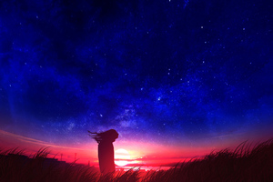 Anime Girl In Field Silhouette Sunset