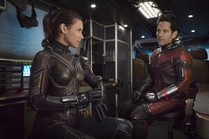 Ant Man And The Wasp Movie 2018 Wallpaper