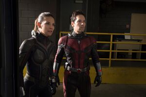 Ant Man And The Wasp Movie Wallpaper