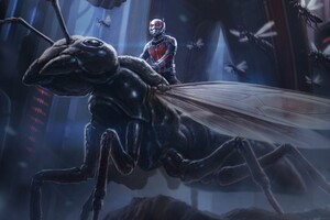 Ant Man Artwork Wallpaper