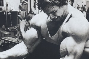 Arnold Schwarzenegger Arms