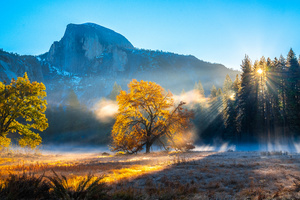 Autumn Morning Fog Yosemite Wallpaper