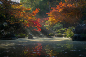 Autumn Radiance In A Japanese Garden (2560x1600) Resolution Wallpaper