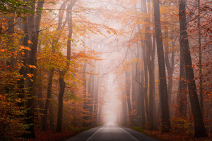 Autumn Roads 4k (1280x720) Resolution Wallpaper
