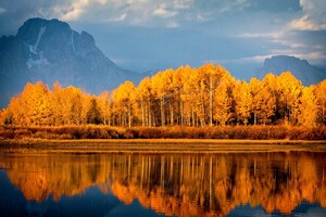 Autumn Trees On Lake