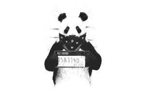 Bad Panda (1400x1050) Resolution Wallpaper