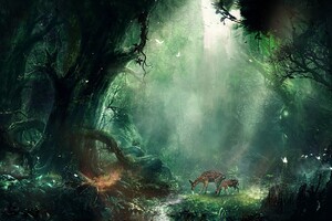 Bambi Jungle