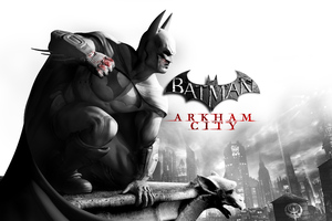 Batman Arkham City 5k