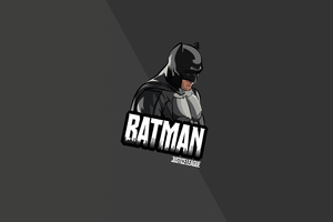 Batman Justice League Minimal 5k Wallpaper