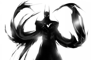 Batman Majestic Batcape (2560x1440) Resolution Wallpaper