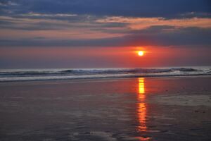 Beach Sunset Morning 4k