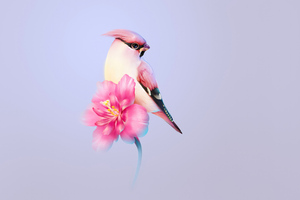 Beautiful Bird (1360x768) Resolution Wallpaper