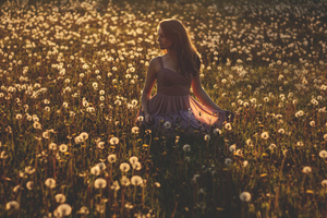 Beautiful Girl In Field Evening (1280x800) Resolution Wallpaper