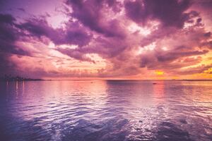 Beautiful Purple Sea And Pink Horizon Sunrise