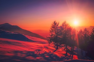 Beautiful Red Tone Sunrise Snow Trees