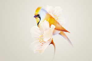 Bird Sitting On Flower Minimal Wallpaper