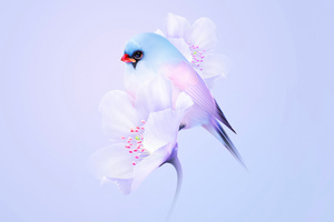 Birds Minimal (1600x1200) Resolution Wallpaper