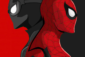Black And Red Spiderman (2048x1152) Resolution Wallpaper