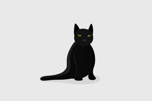 Black Cat Minimal 5k