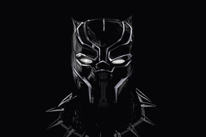 Black Panther Artwork 5k