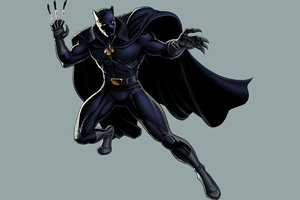 Black Panther Fictional Superhero 2 (1360x768) Resolution Wallpaper