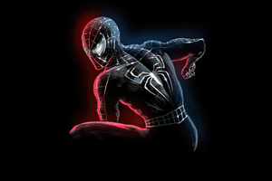 Black Spider Man Artwork 5k (2560x1440) Resolution Wallpaper