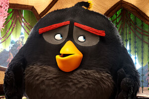 Bomb In The Angry Birds Movie