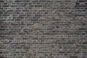 Brick Wall 5k