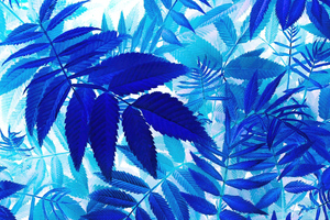Bunch Of Blue Leaves On A White Background Wallpaper