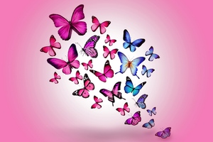 Butterfly Art 2 (2560x1024) Resolution Wallpaper