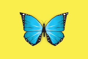 Butterfly Insect Minimal 5k Wallpaper
