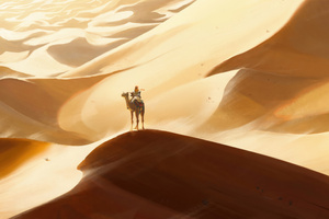 Camel And Memories In Dunes (2560x1600) Resolution Wallpaper