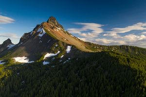 Cascade Trees Covering Mountains (320x240) Resolution Wallpaper