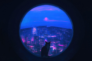 Cat Blue Portal 4k Wallpaper
