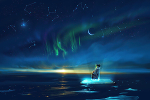 Cat Night Sky Peace