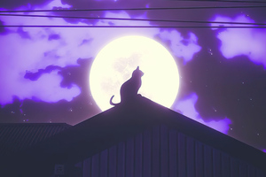 Cat Rooftop Silhouette