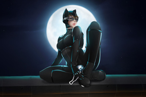 Catwoman Signature Style (1600x1200) Resolution Wallpaper