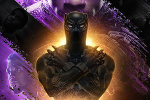 Chadwick Boseman Black Panther Fan Art 4k Wallpaper