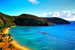 Coast Of Hawaii