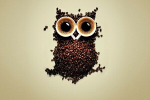 Coffee Beans Owl Art Wallpaper