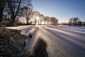 Cold Wintry Frozen Lake Sunbeam Trees 4k 5k