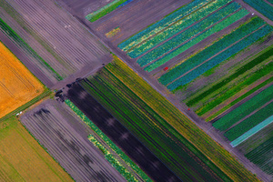 Colorful Fields Aerial View (2560x1024) Resolution Wallpaper