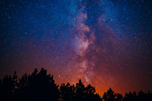 Cosmic Reverie Forest Under The Stars (320x240) Resolution Wallpaper