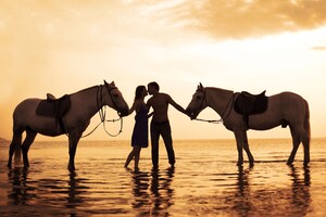 Couple With Horses On Beach 4k