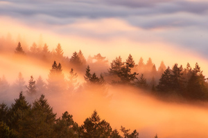 Crazy Fog Flow At Sunset (1600x1200) Resolution Wallpaper
