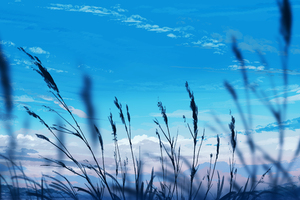 Crops Clouds Anime Evenining Nature 5k (1366x768) Resolution Wallpaper