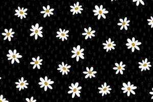 Daisy Flower Pattern Abstract 4k Wallpaper
