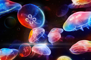 Dancing Jelly Fish (1600x900) Resolution Wallpaper